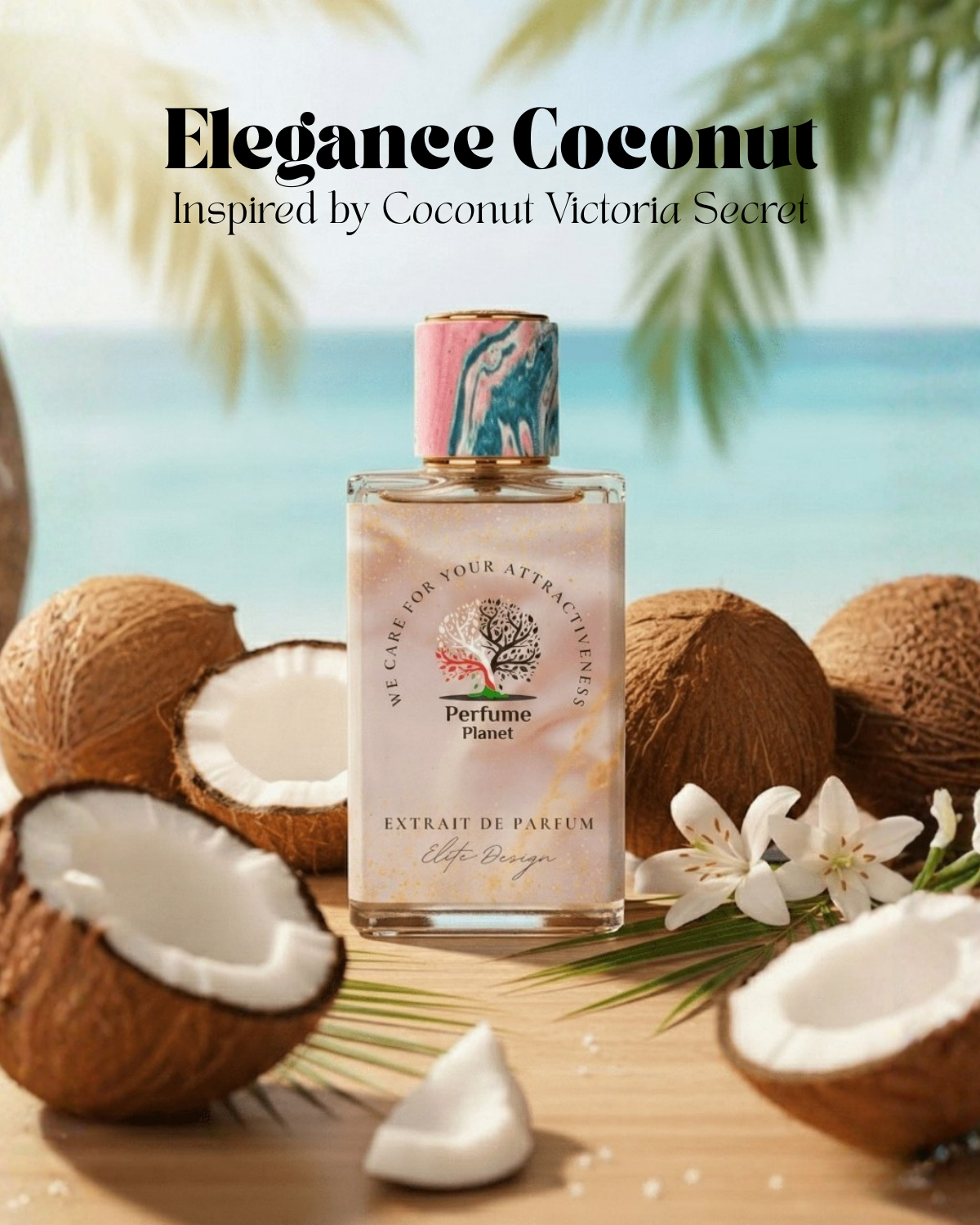 Elegance Coconut